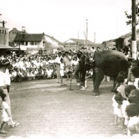昭和25年8月14日の紀の川祭の橋本駅前